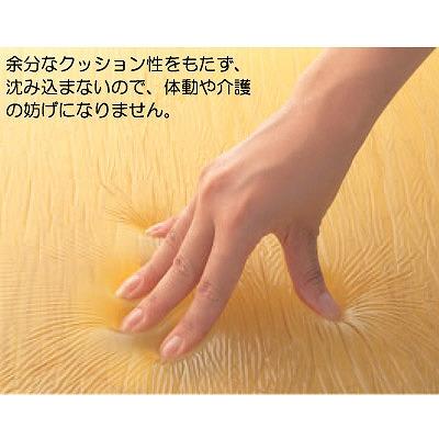 ベッドパッド アクションパッド ベッド用アクションパッド ＃6100 スタンダード 幅43×長さ68.5×厚さ2.2cm アクションジャパン │ 床ずれ 自立支援 介護 高齢者の画像