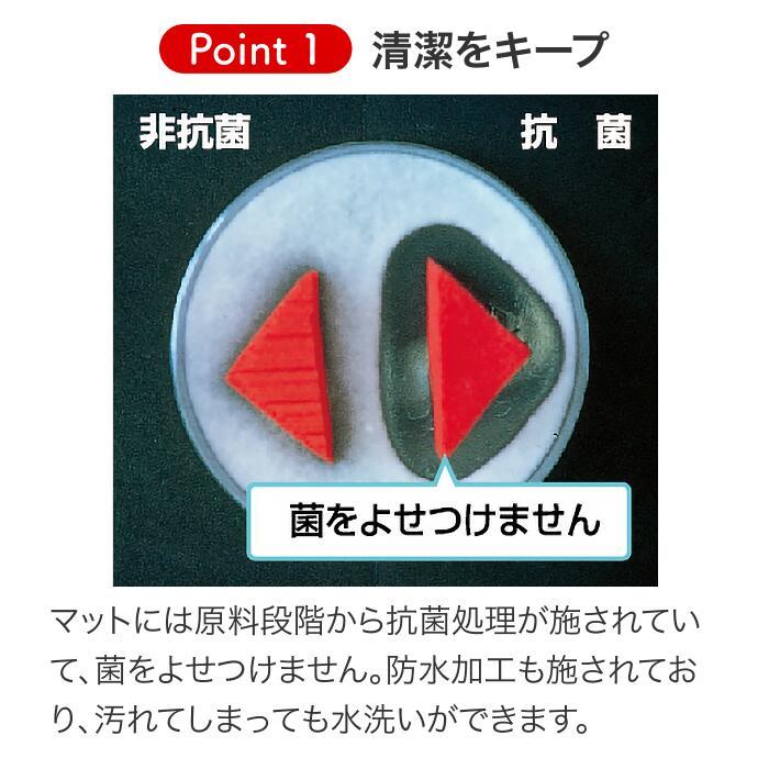 マット リハビリ 介護 高齢者 トレーニングマット エアレックス マット リハビリ 介護 高齢者 トレーニングマット エアレックス