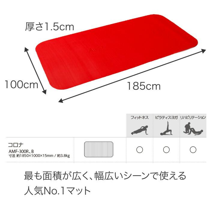 マット リハビリ 介護 高齢者 トレーニングマット エアレックス マット リハビリ 介護 高齢者 トレーニングマット エアレックス
