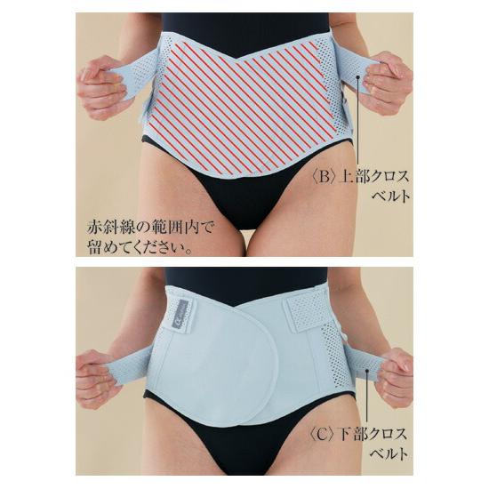 アルファックス お医者さんのコルセット プレミアム仕様 S〜3Lサイズ