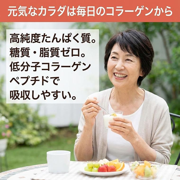 たんぱく質補助食品 コラーゲンプロ 300g 新田ゼラチン │ たんぱく質 補給 介護食 粉末 顆粒 栄養補助食品 機能系食品 高齢者 お年寄り コラーゲン プロテインの画像