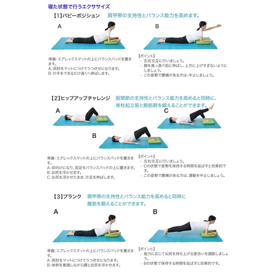 酒井医療 AIREX エアレックス バランスパッド・エリート 幅40×長さ48