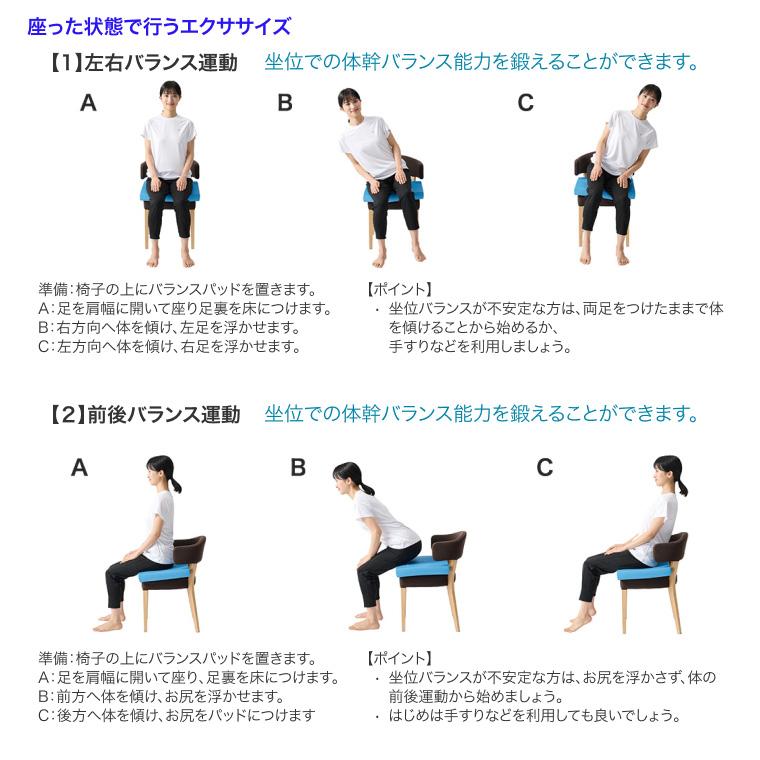 酒井医療 AIREX エアレックス バランスパッド・エリート 幅40×長さ48