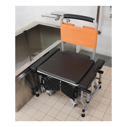 シャワーキャリー 可動式入浴台 アクアムーブ PN-L14001D パナソニックエイジフリー │ 介護用品 入浴用車椅子 入浴介助 高齢者 お年寄り 老人 病院 老人ホーム_1