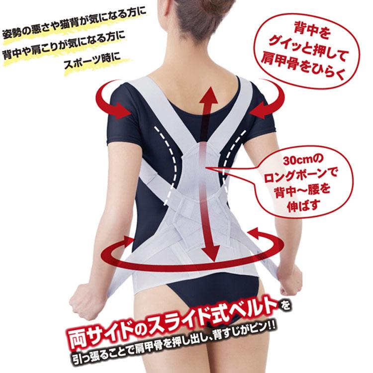 アルファックス お医者さんのがっちり背すじベルト M〜L L〜LL