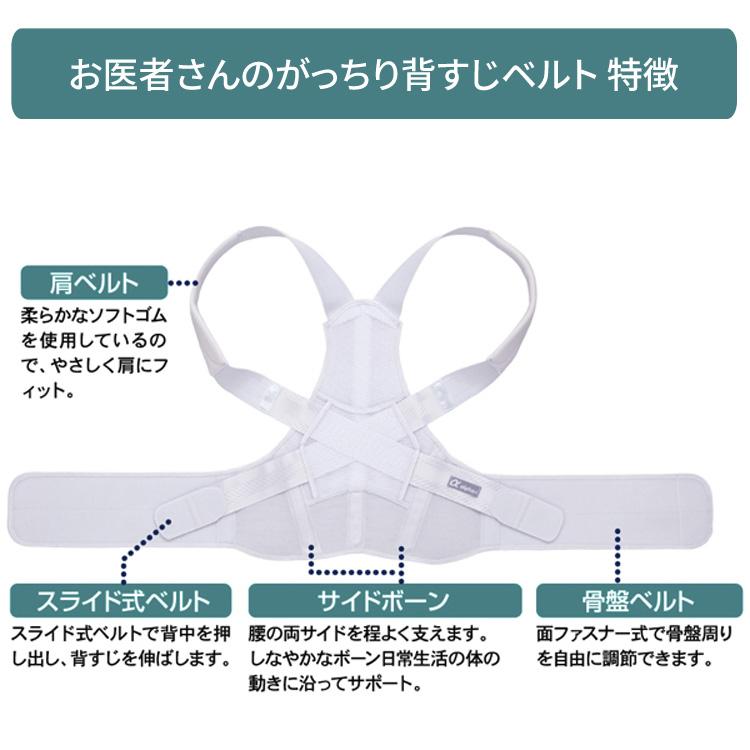 アルファックス お医者さんのがっちり背すじベルト M〜L L〜LL