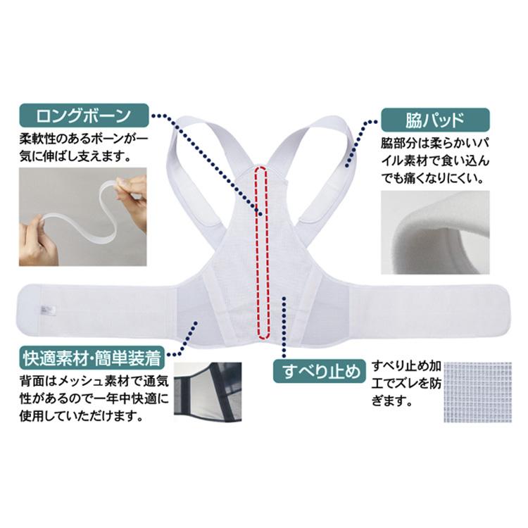 アルファックス お医者さんのがっちり背すじベルト M〜L L〜LL