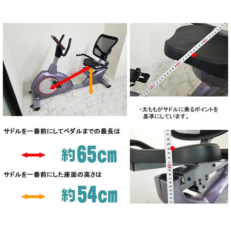 DAIKOU（ダイコー） 家庭用 リカンベントバイク DK-8718RP 大広