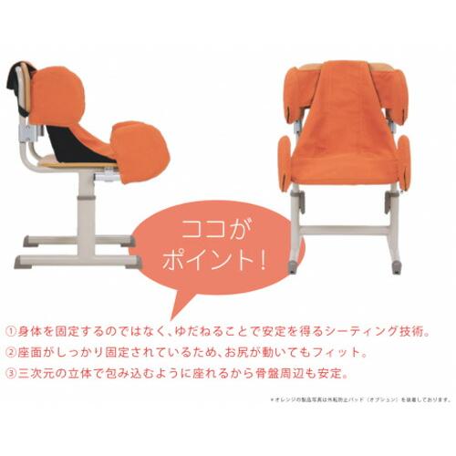 車いす用クッション 介護 高齢者 ZAFU ザフシステムスクール Sサイズ L