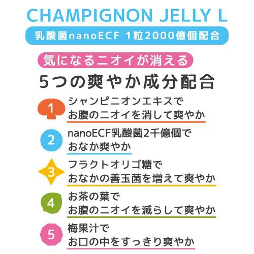 シャンピニオンゼリー「ニットー」L 50g×30袋入り 日東製薬 │ 食品 シンバイオティクス シャンピニオンエキス nano乳酸球菌 フラクトオリゴ糖 梅果汁 腸内環境の画像