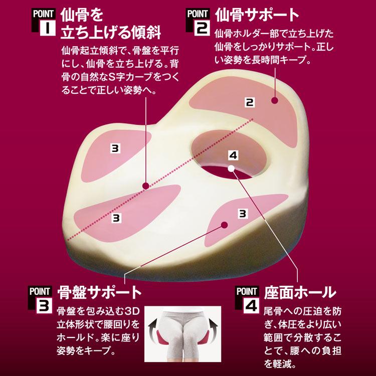 クッション 仙骨クッション 仙律 AP-621607 アルファックス