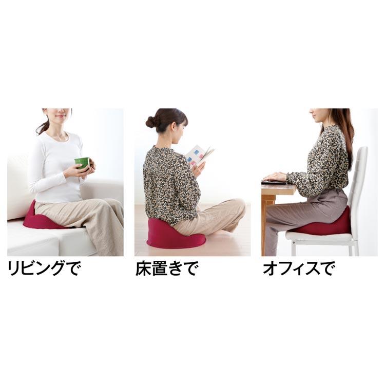 クッション 仙骨クッション 仙律 AP-621607 アルファックス
