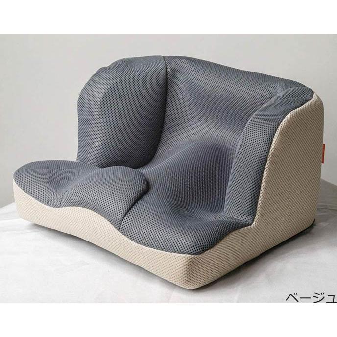 タカノ 学童いす用クッション LAPS kids（ラップスキッズ） Sサイズ TC