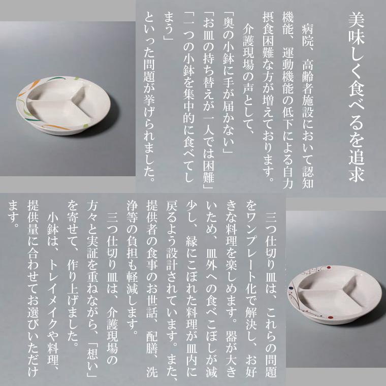 三信化工 介護 食器 すくいやすい 三ツ仕切皿 UMS-200RKIH いろは 岐穂