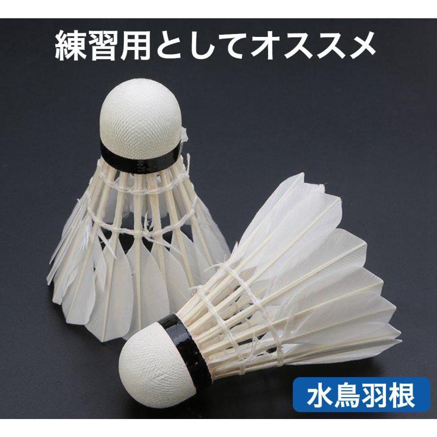 YONEX 羽根シャトル 12個セット YONEX 羽根シャトル 12個セット Amazon | ヨネックス(YONEX