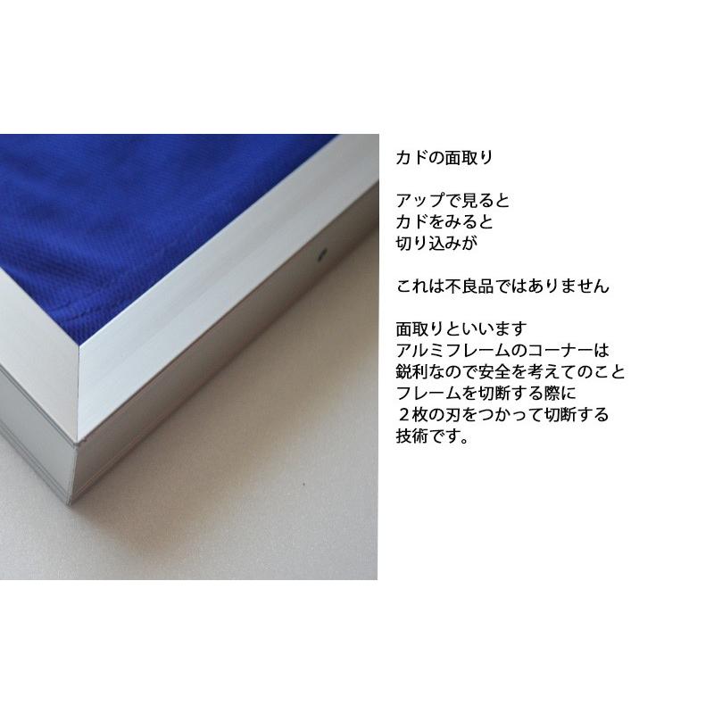 キューブユニフォーム Tシャツ用額縁 アルミフレーム製 カラーシルバー