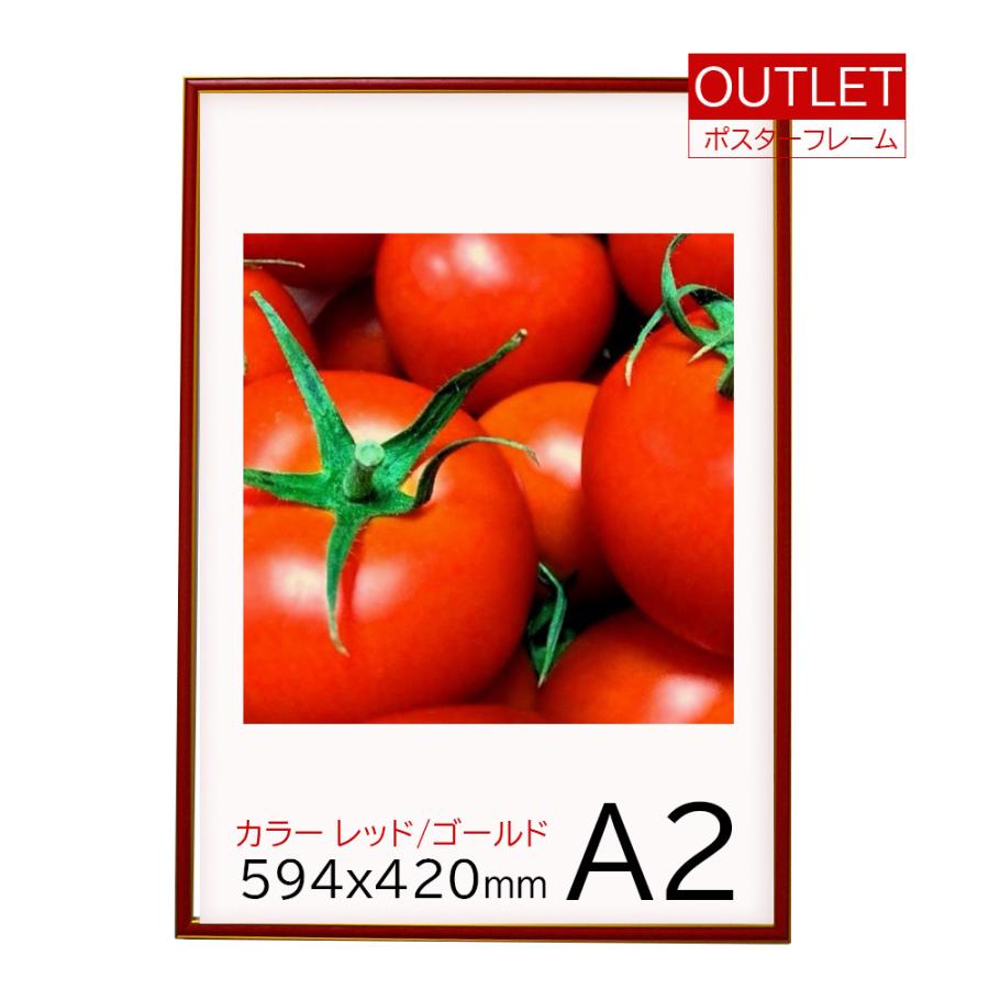 アウトレット】【2枚セット】 ポスターフレーム CT211カラー
