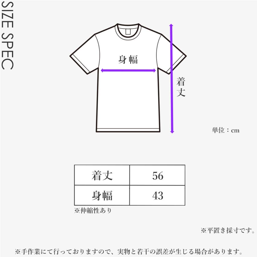 【爆買SALE対象】送料無料ヨガウェア トップス トレーニング フィットネスウェア スポーツ ウエア ダンス ズンバウェア 半袖 ブランド | パネットワン | 17