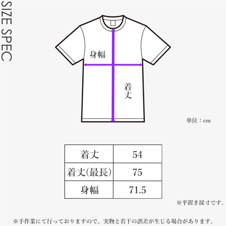 【ウルトラSALE対象】送料無料ヨガウェア トップス フィットネス トレーニング 大きいサイズ ホットヨガ カットソー 半袖 アシンメトリー ズンバ | パネットワン | 12