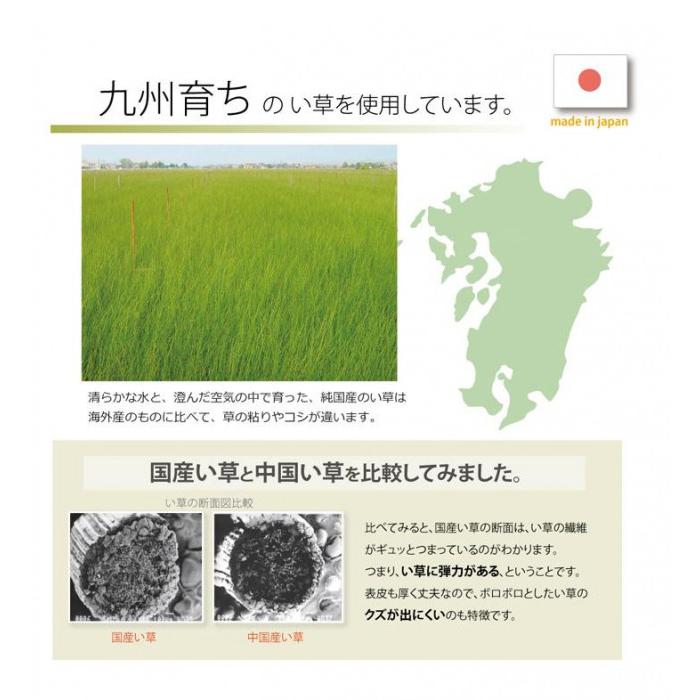 い草キッチンマット 『ドロップ』 マルチ 約80×270cm 8231130 |b03 【ピスタチオ】