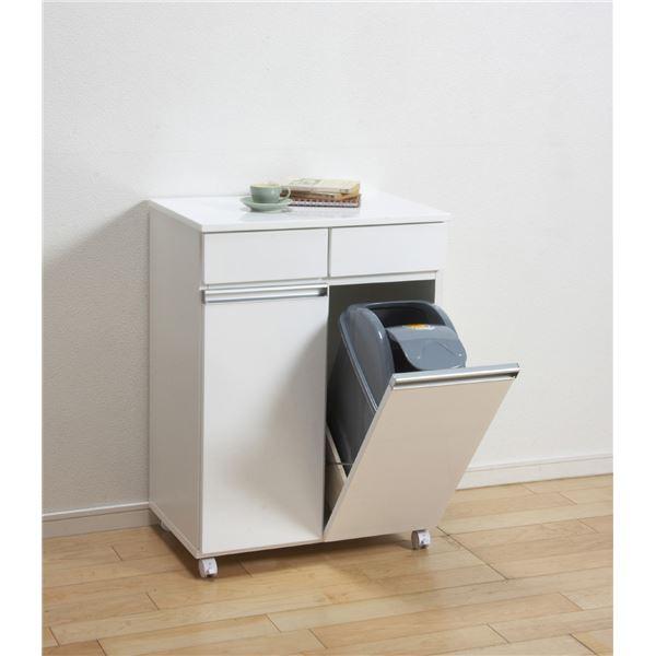 【新品・送料無料】【完成品】ダイニングダストボックス２Ｄ ダイニングダストボックス2D ごみ箱 2分別 台所用 生ごみ 背面