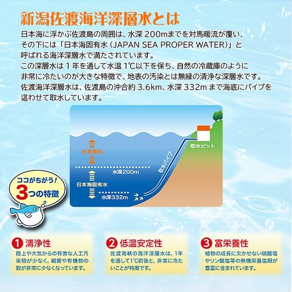 佐渡海洋深層水 軟水50 500ml (×24本セット) |b04｜panfamcom｜04