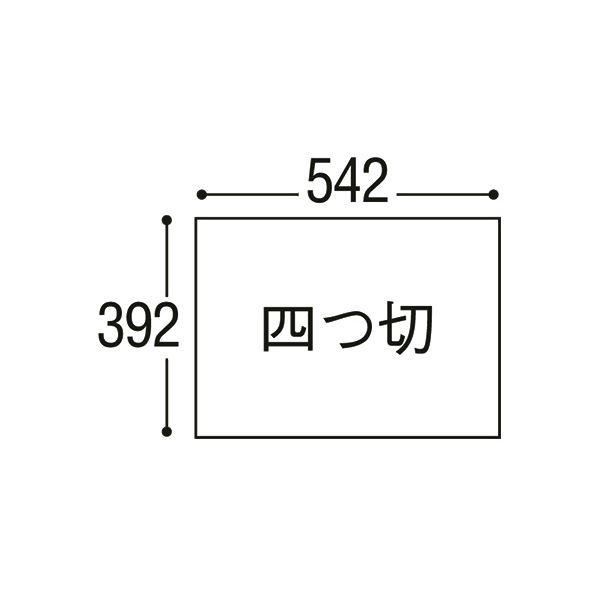 ニューカラーR 四つ切 おうどいろ 4NCR-210 1パック(100枚)(×5セット) |b04 【たとう】