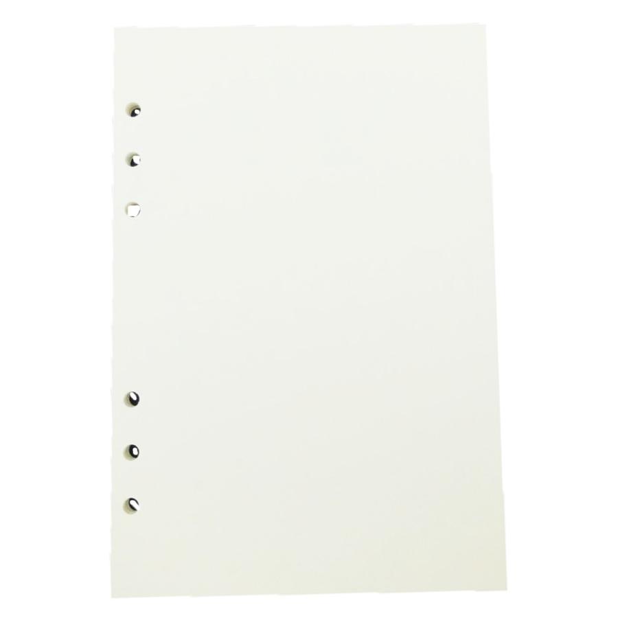お得セール ルーズリーフ 無地 ａ5 ６穴 80枚 2冊 システムノート システム手帳用 リフィル 用紙 B01 D9notepaper002 A5 Panfam 通販 Yahoo ショッピング