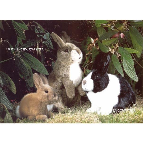 ウサギ ケーセン(Kosen) 動物 ぬいぐるみ｜paninokumaya｜02