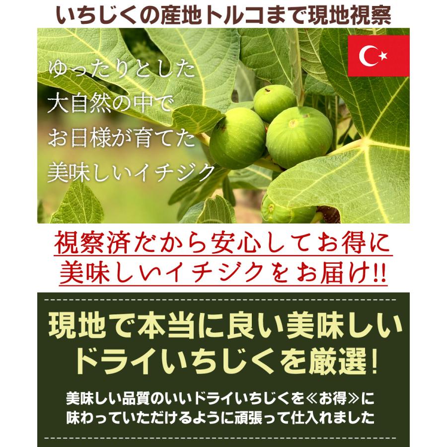 【無添加・無着色・砂糖不使用】国産ドライいちじく500g ドライいちじく 500g 無添加 砂糖不使用 ドライ フルーツ 乾燥いちじく