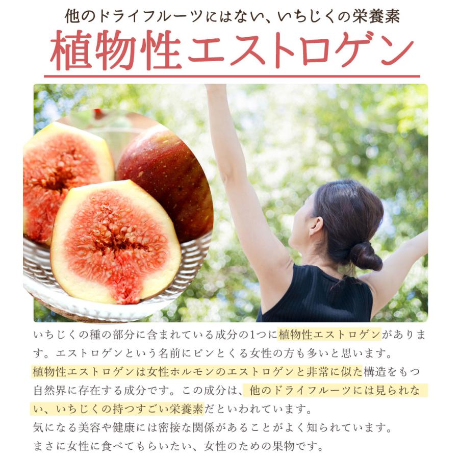 ドライいちじく 500g 無添加 砂糖不使用 ドライ フルーツ 乾燥いちじく