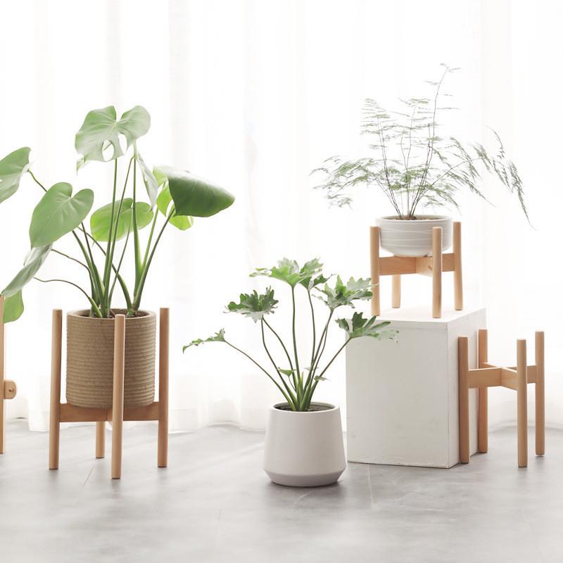 プランタースタンド 天然木 観葉植物 室内 鉢台 鉢置き台 ブナの木