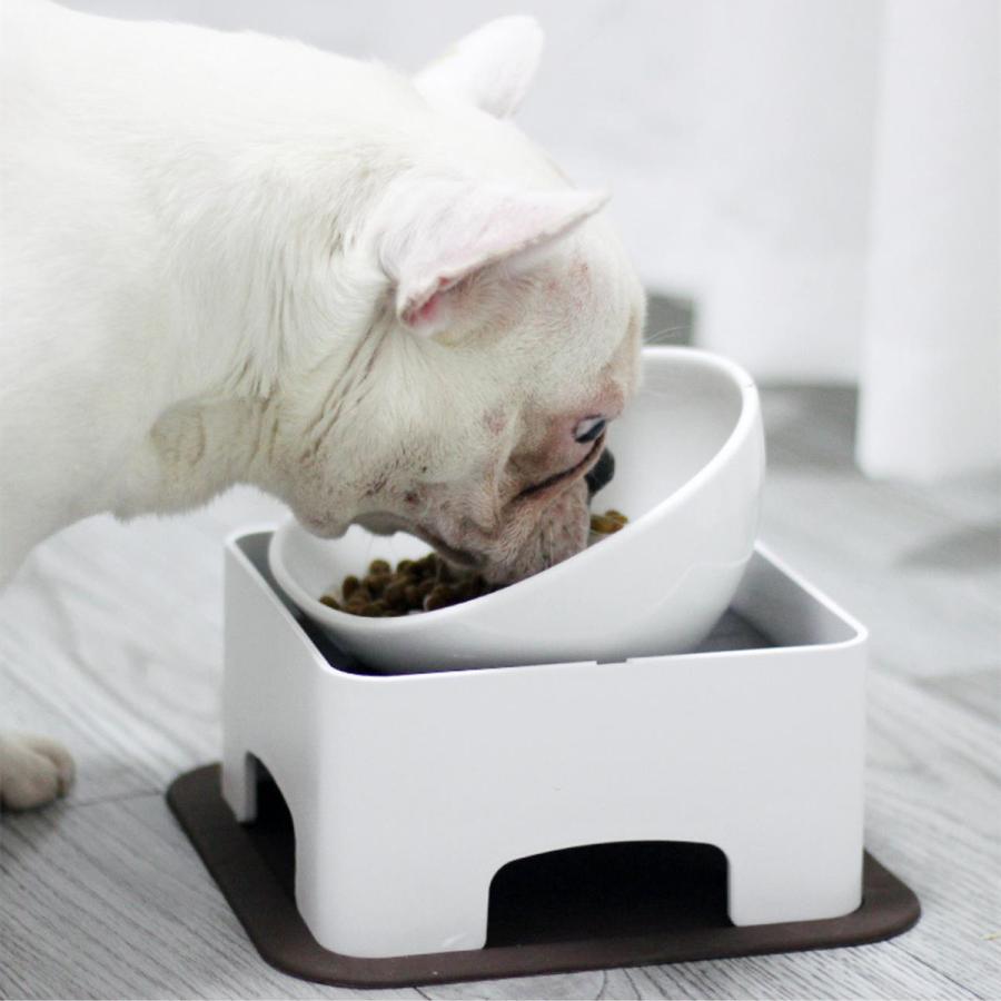 犬 食器 陶器 犬用 食事 フレンチブルドッグ皿 犬用皿 いぬ フレンチ