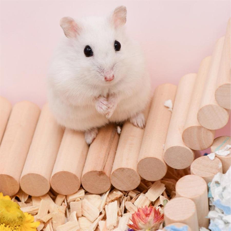 ハムスター用 はしご ブリッジ 階段 変形 S/M 遊び場 隠れ家 ハウス