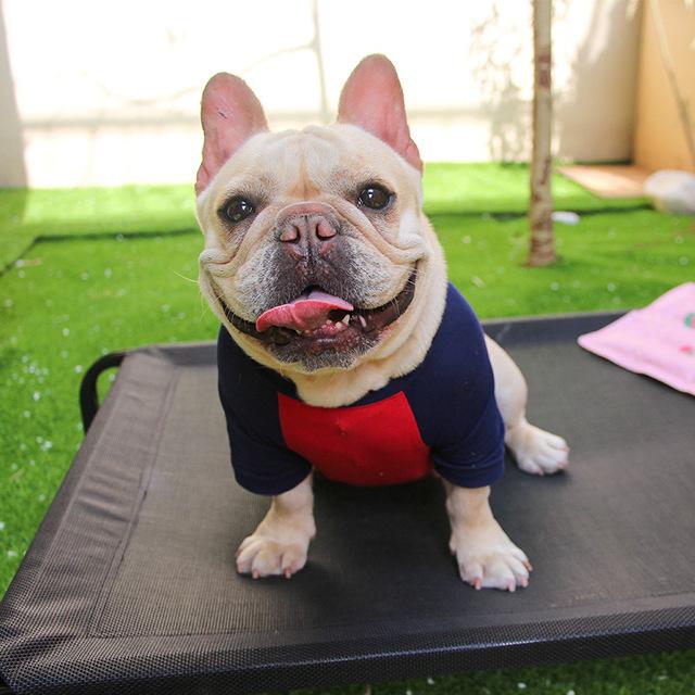 犬用ベッド 冬用 ペットベッド 地面に離れ 犬ベッド 高床 耐噛み メッシュ通気 通年利用 クッション別売り 洗える 組立簡単 S M L Xl サイズ Hycwalc3 Zakkaライフ 通販 Yahoo ショッピング