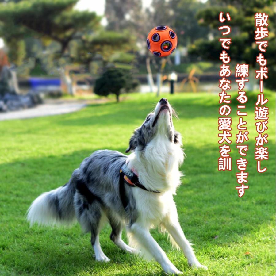 犬用 ボール 玩具ボール 噛むおもちゃ 音出る Led 光るボール 投げるおもちゃ おもちゃ 犬 ボール ダイエット レーニングなど 犬遊び用 Lサイズ 送料無料 Panni Inuballl Zakkaライフ 通販 Yahoo ショッピング