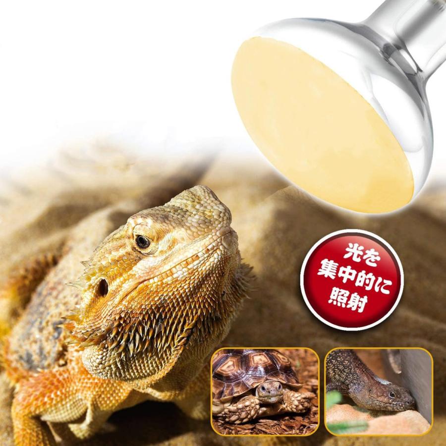 爬虫類ランプ 電球 飼育ケース用 110v Uva ランプ Uv電球加熱ランプ ヒーター電球 両生類 トカゲ カメ用 温度コントローラー電球 生息地照明 Nomoranpu Zakkaライフ 通販 Yahoo ショッピング