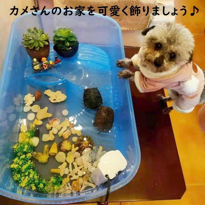 亀の水槽 カメ 水槽 飼育ケース ボックス タートルタンク 日向ぼっこ台 観察 排水孔 凹凸 階段 登りやすい 一体型 大きいサイズ 亀さんのお家 カメ 飼育ケース｜panni-fashion｜10