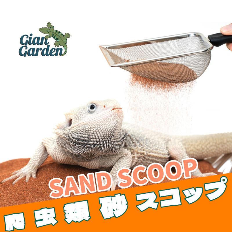 レビューを書けば送料当店負担 かわいいトカゲ Tシャツ トカゲのいる生活 爬虫類