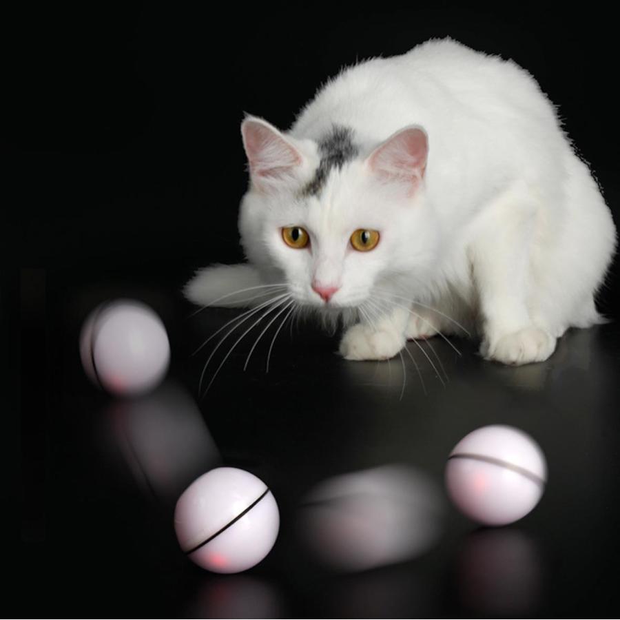 猫 玩具 ボール 猫おもちゃ 自動回転 光る LED 転がる ゴロゴロ USB充電式 障害物回避 運動不足対策 ストレス解消 Panni｜panni-fashion｜15