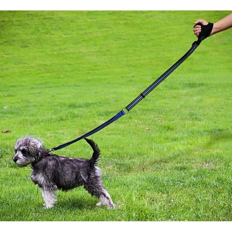 犬のリード ドッグリード グローブ式 伸縮縄 犬用 小型犬 中型犬 持ちやすい ソフトハンドル おしゃれ 反射機能 ランニング 送料無料 Panni Szlsglovetypelead Zakkaライフ 通販 Yahoo ショッピング