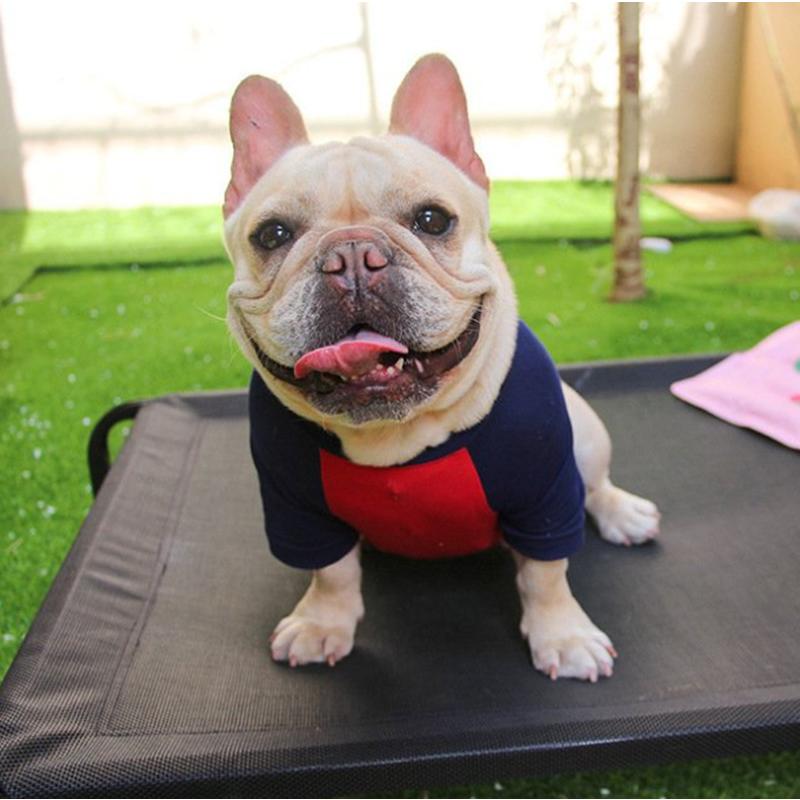 犬用ベッド 冬用 ペットベッド 地面に離れ 犬ベッド 高床 耐噛み メッシュ通気 通年利用 クッション別売り 洗える 組立簡単 S M L Xl サイズ Hycwalc2 Pannipet 通販 Yahoo ショッピング
