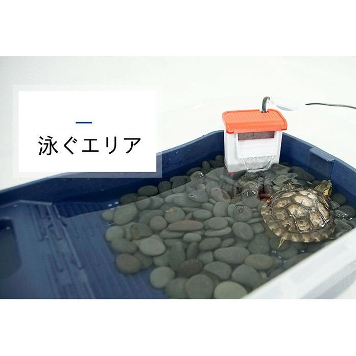 亀 両生類 水槽 飼育ケース タートルタンク カメ生息地 日向ぼっこ台