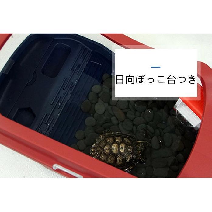 亀 両生類 水槽 飼育ケース タートルタンク カメ生息地 日向ぼっこ台 