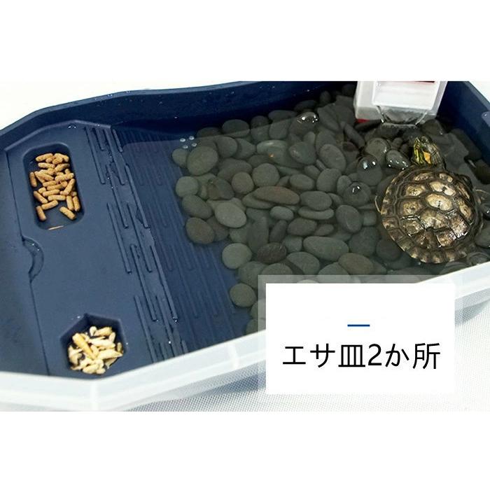 亀 両生類 水槽 飼育ケース タートルタンク カメ生息地