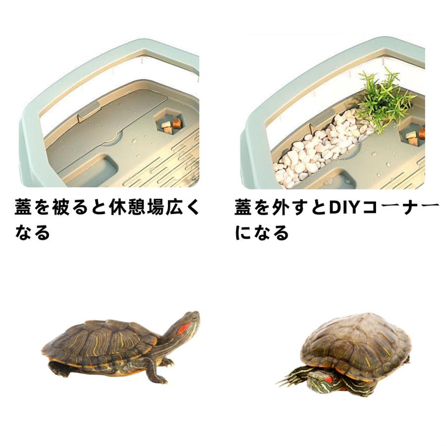カメ 水槽 亀の水槽 65cm 大きい 飼育ケース タートルタンク カメ生息