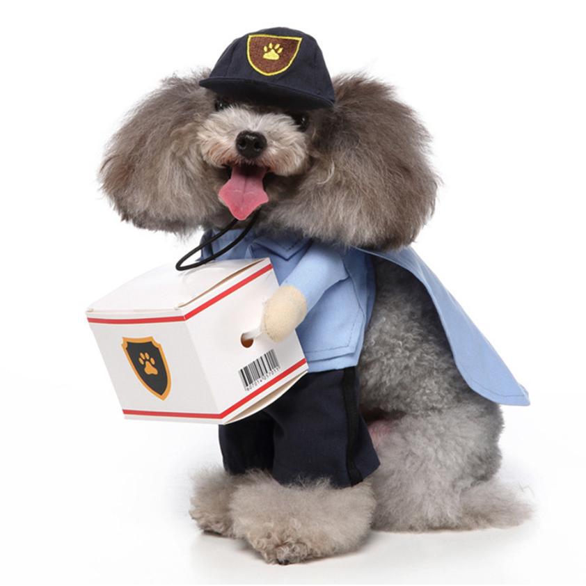 まっぺ！犬服  Ssize 法被コスチューム ウェア no18 特攻服 | 犬の洋服・オーダーメイド衣装通販 | DOGBASE YOKOHAMA