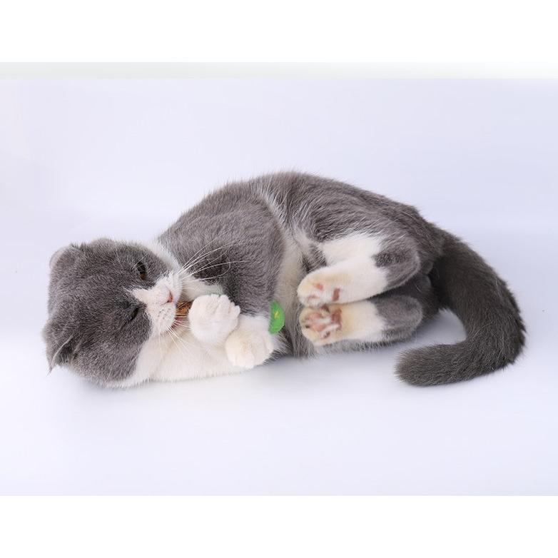 猫 おもちゃ 猫じゃらし 猫またたびおもちゃ 歯磨きおもちゃ 運動不足
