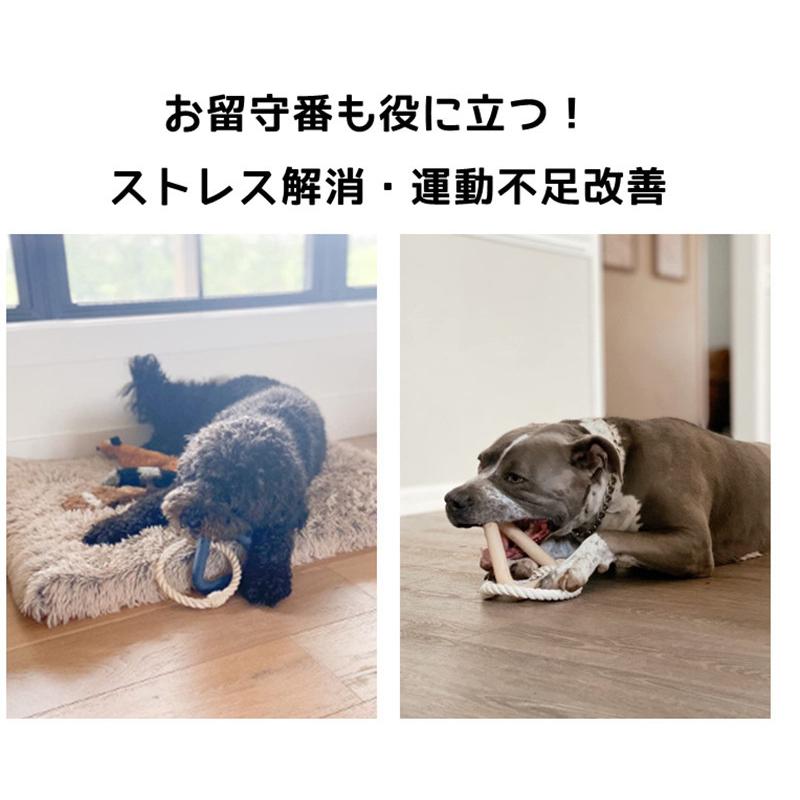 Canplus 犬 噛むおもちゃ 犬のおもちゃのロープで吸盤綱引き 61K3NCJYtIL._UF894,1000_QL80_.jpg