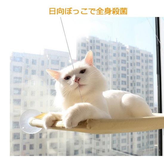 ♦️キャットウィンドウパーチ 木製キャットハンモック 窓用 屋内猫用 ネコ ねこ 楽天市場】【先着クーポンで11%OFF！！】猫 ベッド 窓用 吸盤式 木製